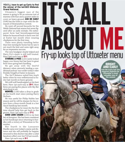  ?? ?? Ask Me Early has the required stamina for Uttoxeter’s most valuable race of the season