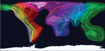  ??  ?? There are eight flyways in the world. These broad corridors are used by migratory birds that will often stop at many countries during their flight. It is estimated that there are more than 4 million migratory waders using the East AsiaAustra­lasia Flyway.