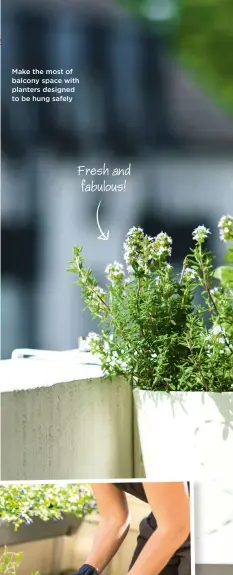  ?? ?? Make the most of balcony space with planters designed to be hung safely
Fresh and fabulous!