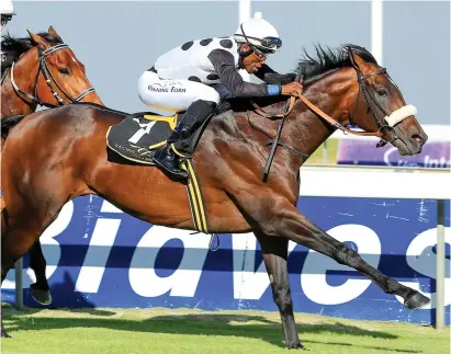  ?? Picture: Wayne Marks ?? FOUR-TIMER: Richard Khathi guides Nexus across the line to register the fourth win of the day for the Snaith stable at Kenilworth on Saturday. It was also the second at the meeting for Khathi, who celebrated his birthday.