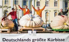  ?? Foto: Christoph Schmidt, dpa ?? Die Gewinner der deutschen Meistersch­aft im Kürbiswieg­en: Norbert Mitschke und Robert Jaser aus Schönebach (Mitte, von links) holten sich Platz eins, hinter ihnen landeten Matthias Würsching aus Hessen (rechts) und Michael Asam aus Heretshau sen (links).