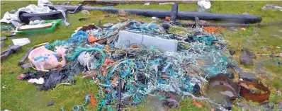  ??  ?? Net loss: Crews could be paid to collect waste washed up in areas that are harder to reach