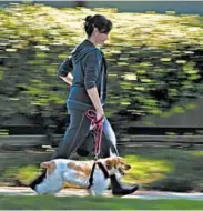  ?? DON BARTLETTI/LOS ANGELES TIMES ?? People who own dogs tend to spend more time outdoors, which is known to be beneficial to health, the study says.