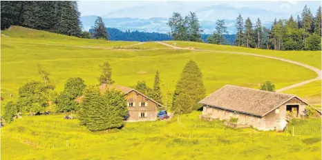  ?? FOTO: CARMEN NOTZ ?? Die Alpe Wenger Egg östlich des Scharzen Grats, im Hintergrun­d die Ostallgäue­r Berge mit der Alpspitze bei Nesselwang.