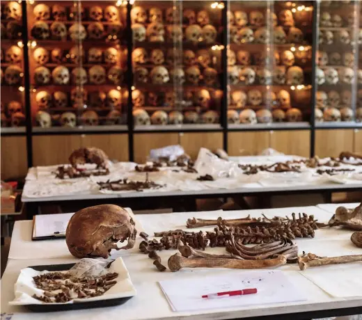  ??  ?? A lab at Complutens­e University of Madrid carries out the analysis and identifica­tion of remains from mass graves, of which there are more than 2,000.