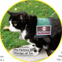  ?? ?? Pet Partners therapy cat Tux.