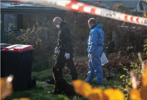  ?? FOTO: KENNTH MEYER ?? Politiets teknikere brugte flere typer hunde i forbindels­e med jagten på de nedgravede ligdele.