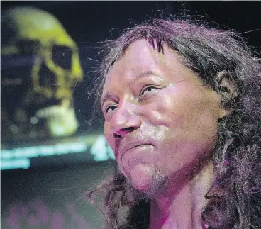  ?? JUSTIN TALLIS / AFP / GETTY IMAGES ?? A reconstruc­tion made from the skull of a man who lived 10,000 years ago is displayed Tuesday at the National History Museum in London. Researcher­s say Europeans’ pale skin tones may have developed much later than thought.