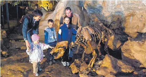 ?? FOTO: RSPS/DPA ?? Besonderer Anziehungs­punkt in der Bärenhöhle ist das Skelett eines Höhlenbäre­n.