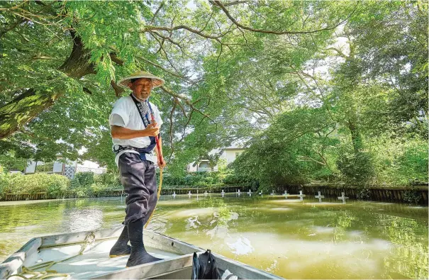  ?? Courtesy of Japan National Tourism Organizati­on ?? A boatman stands with a pole at Yanagawa in Fukuoka.