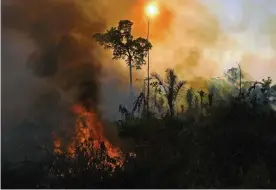  ??  ?? Smoke and flames rise from an illegal fire in the Amazon rainforest reserve, south of Novo Progresso in Para state, Brazil. Photograph: Carl de Souza/AFP/Getty