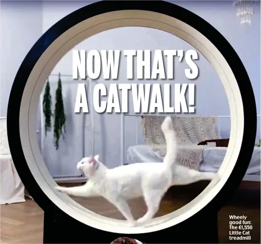  ??  ?? Wheely good fun: The €1,550 Little Cat treadmill