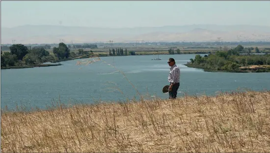 ?? (AP/Rich Pedroncell­i) ?? Al Medvitz, who farms alfalfa and other crops, looks out over the Sacramento River on July 25 from a hill on his land near Rio Vista, Calif.