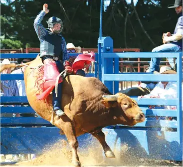  ?? Photograph courtesy of Robert Taylor. ?? Right: Enjoy all the thrills and spills when the Neerim Rodeo Challenge returns to Neerim Recreation Reserve on Saturday. Perfect for the entire family, gates open at 2pm for fun activities before the rodeo gets started at 6pm.