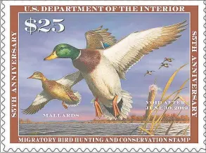  ?? Courtesy U.S. Fish and Wildlife Service / Courtesy U.S. Fish and Wildlife Service ?? Waterfowle­rs purchase the great majority of federal duck stamps which fund refuge purchases and other conservati­on programs, but a proposal to require a “hunting element” in the annual stamps image has even some hunters questionin­g the idea.