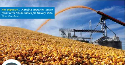  ?? Photo: Contribute­d ?? Net importer… Namibia imported maize grain worth N$100 million for January 2022.