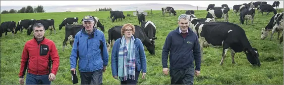  ?? Photo O’Gorman Photograph­y ?? Pictured at a Teagasc/Kerry Agri Business joint programme farm walk in Firies, Co Kerry on soil fertility, breeding, grass growth & measuremen­t are speakers Paudie O’Brien (host), Ger O’Sullivan, Teagasc Killarney, Majella Moloney, Regional Manager & Robert Prendivill­e, Teagasc Listowel.