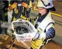  ??  ?? Wehrleiter Heinz Anhalt trägt vorsichtig die geretteten Katzen ins Freie. Fotos: Feuerwehr Heiligenst­adt