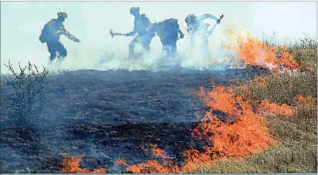  ?? KENT PORTER / THE (SANTA ROSA) PRESS DEMOCRAT VIA AP ?? Cal Fire’s Boggs helitack assist in putting out a 12-acre brush fire in Larkfield, Calif., on Thursday.