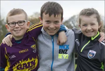  ??  ?? Orán Hayden, Jack and Ava Brennan, all from Camolin, at Sunday’s point-to-point in Moorfield.