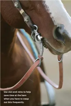  ??  ?? Use slot- end reins to help save time at the barn when you have to swap out bits frequently.