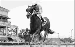  ?? LESLIE MARTIN/COGLIANESE PHOTOS ?? Cajun Delta Dawn, a three-time stakes winner as a juvenile, was eighth in the Eight Belles Stakes in her 3-year-old debut.