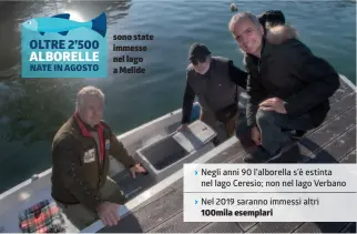  ?? TI PRESS/INFOGRAFIC­A LAREGIONE ?? Il progetto per far tornare il pesce assente dagli anni Novanta