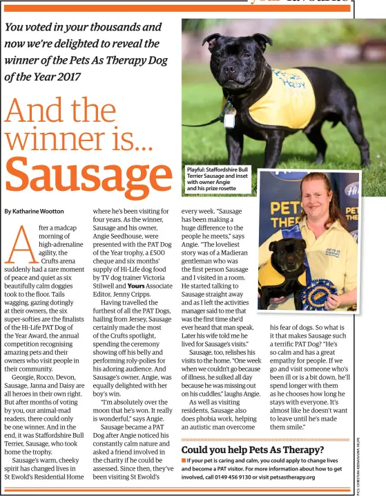  ??  ?? playful: staffordsh­ire Bull terrier sausage and inset with owner angie and his prize rosette