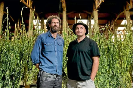  ?? CHRIS MCKEEN/STUFF ?? Panapa Eha and Manu Caddie are the managing directors of Hikurangi Enterprise­s. The business hopes to build a processing facility in Ruatoria and a medicinal cannabis processing facility in Gisborne.