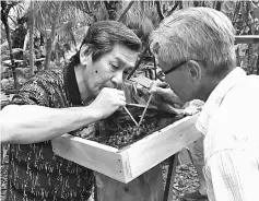  ??  ?? Visitors sipping honey directly from the beehive.