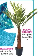  ??  ?? Meditate away plant for Life Floor cushion, £29, QVC Faux palm tree, £84, QVC