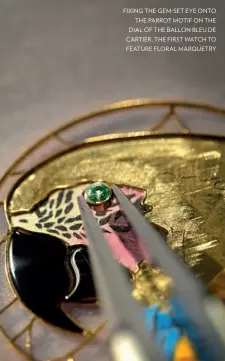  ?? ?? FIXING THE GEM-SET EYE ONTO
THE PARROT MOTIF ON THE DIAL OF THE BALLON BLEU DE CARTIER, THE FIRST WATCH TO FEATURE FLORAL MARQUETRY