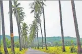  ?? PARRA PANCHAYAT ?? • Home to picturesqu­e fields and narrow lanes lined with coconut palms, the Parra panchayat was charging tourists ₹500 for clicking photos.