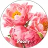  ?? ?? Peony