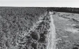  ??  ?? Hundreds of yards of forest will provide a barrier between Wood Duck Farm, right, and the proposed landfill, environmen­tal project manager Jeff Hobby said.