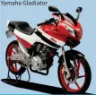  ?? ?? 2006 We built the Yamaha Gladiator