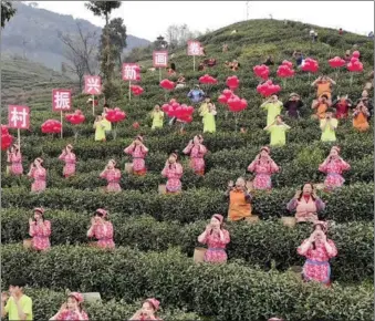  ?? ZHANG LANG / CHINA NEWS SERVICE ?? Tea-pickers and farmers holler on a tea hill to pray for a good annual harvest at the Tuanbazhen tea plantation in Dazhu county, Dazhou, Sichuan province, on March 14. Growing white tea has been the county’s major industry for a decade.