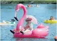  ?? DAVE JOHNSON/WELLAND TRIBUNE ?? This Welland Floatfest participan­t, on a giant pink flamingo inflatable, was ready for the scorching sun and heat Sunday.