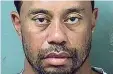  ?? Foto: dpa ?? Das Foto von Tiger Woods bei seiner Festnahme durch die Polizei.