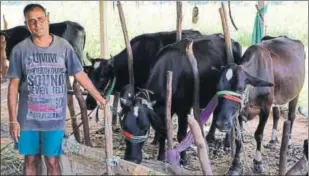  ?? HT PHOTO ?? Rajendra Patel, 50, the sole breadwinne­r in his family, got two cows from his fatherinla­w after the factory where he worked shut down. In 18 months, his cattle count went up to seven, with earnings now at ₹25,000 a month.