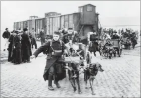  ?? THE ASSOCIATED PRESS ?? In this undated WWI file photo, soldiers move toward the front with their machine guns and ammunition pulled by dogs in Belgium. They were messengers, spies, sentinels and the heavy haulers of World War I, carrying supplies, munitions and food and leading cavalry charges. The horses, mules, dogs and pigeons were a vital part of the Allied war machine, saving countless lives — and dying by the millions.