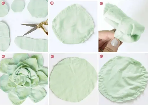 Succulent Cushion Pressreader
