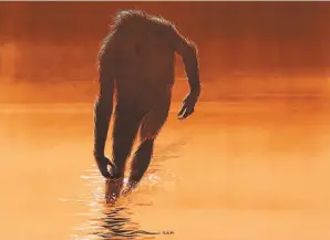  ?? LMPC via Getty Images ?? Poster art for the 1972 film “The Legend of Boggy Creek,” one of the most impactful monster movies of the late 20th century.