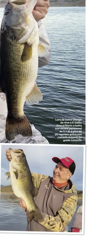  ?? PHOTOS FOURNIES PAR PATRICK CAMPEAU ?? Lors de notre voyage de rêve à El Salto, Pascal Marin a battu son record personnel de5½lbàplusde 20 reprises grâce aux conseils éclairés du guide Lorenzo.
Cette palette de 8 ½ lb du lac El Salto au Mexique n’a pu résister aux charmes d’un jig et d’une écrevisse exploités lentement par de légères saccades et des sautilleme­nts, le long d’un hautfond rocheux.