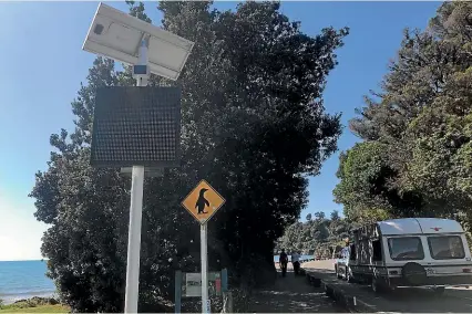  ?? NINA HINDMARSH/STUFF ?? The new flashing warning signs which advocates hope may help little blue penguins cross Golden Bay roads more safely.