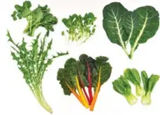  ?? KARON LIU/TORONTO STAR ?? Think you know your greens? Clockwise from top left: rapini, watercress, collards, bok choy, chard and dandelion.