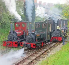  ?? DEBBIE LEWIS/LSR ?? Watched by Launceston Steam Railway managing director Nigel Bowman, Covertcoat, Dorothea and Lilian make a rare appearance together in steam on October 28.