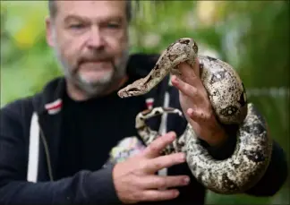  ?? (Photos Luc Boutria) ?? Un boa constricto­r de belle taille présenté par Philippe Grossi…