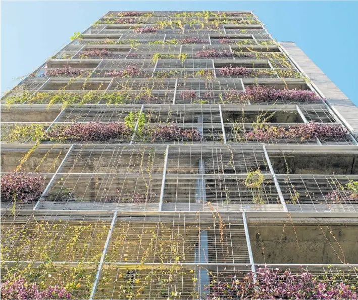  ?? ?? VERDE. Los amplios balcones se diseñaron con grillas para enredadera­s y otras plantas trepadoras.