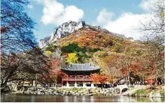  ??  ?? The combinatio­n of mountains and valleys that surround Baekyangsa Temple, located within the Naejangsan National Park, creates spectacula­r scenery during the fall.